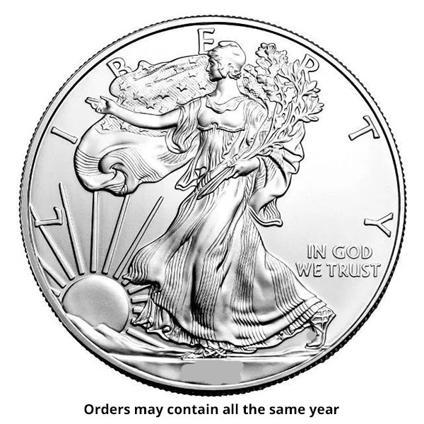 1 oz American Silver Eagle Coin Random Year obv